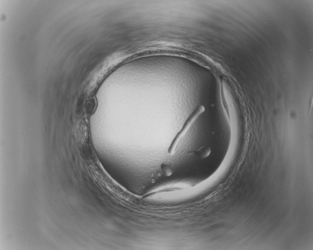 X0000054451363200508270028