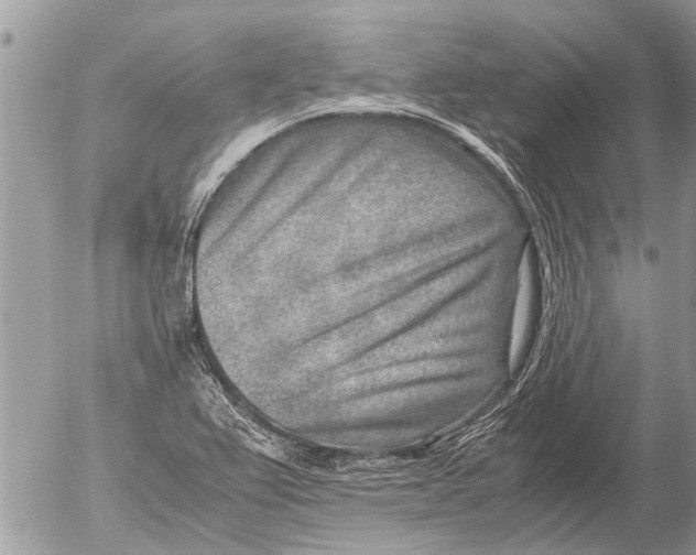 X0000054451367200508270028