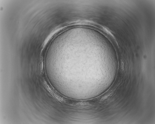 X0000054451368200508270028