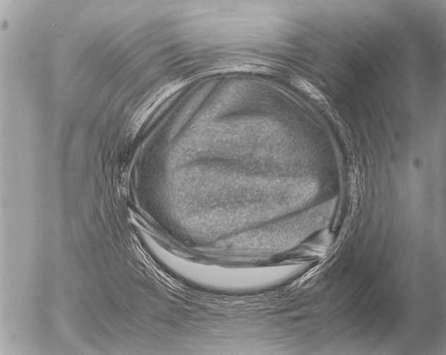 X0000054451369200508270028
