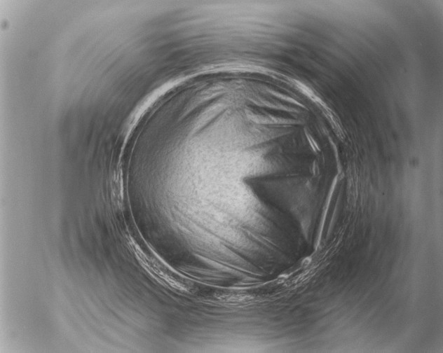 X0000054451372200508270028