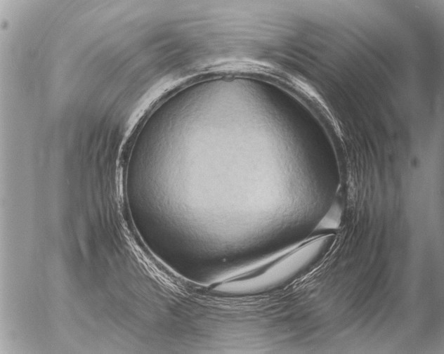 X0000054451376200508270028