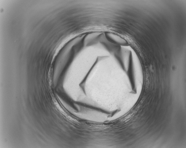 X0000054451382200508270027