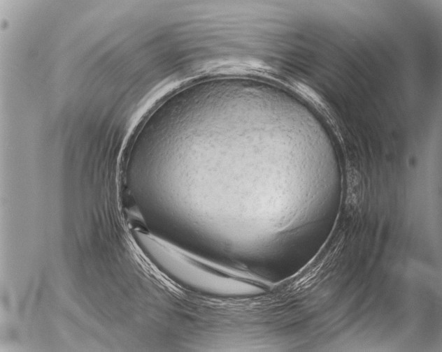 X0000054451384200508270027