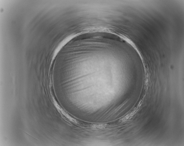 X0000054451389200508270027