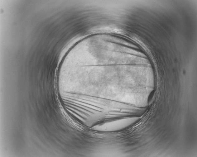 X0000054451392200508270027