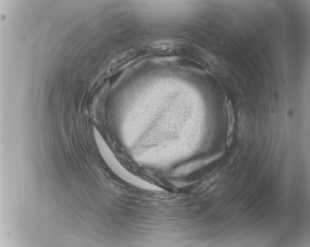 X0000054451394200508270027