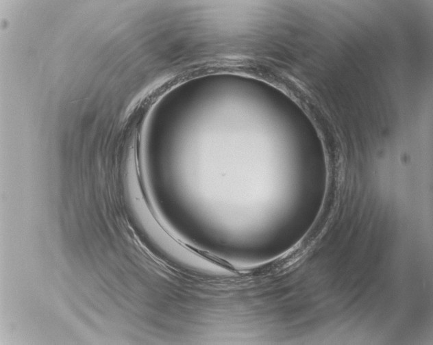 X0000054451402200508270027