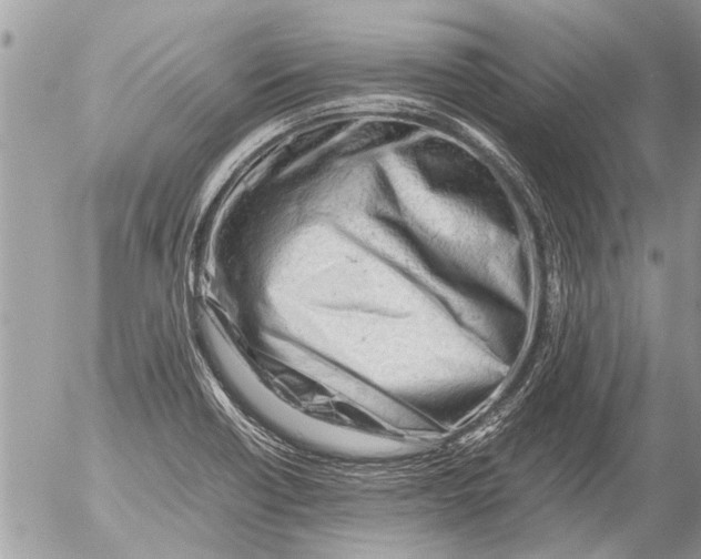 X0000054451418200508270027