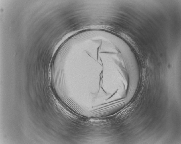 X0000054451428200508270027