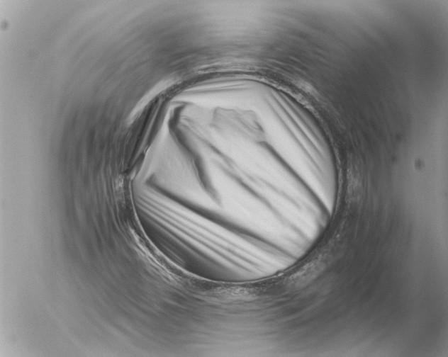 X0000054451450200508270026