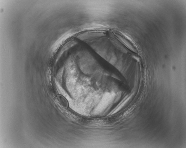 X0000054451455200508270026