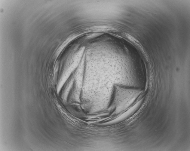 X0000054451473200508270026
