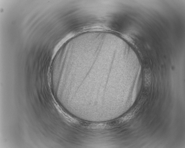 X0000054451474200508270026