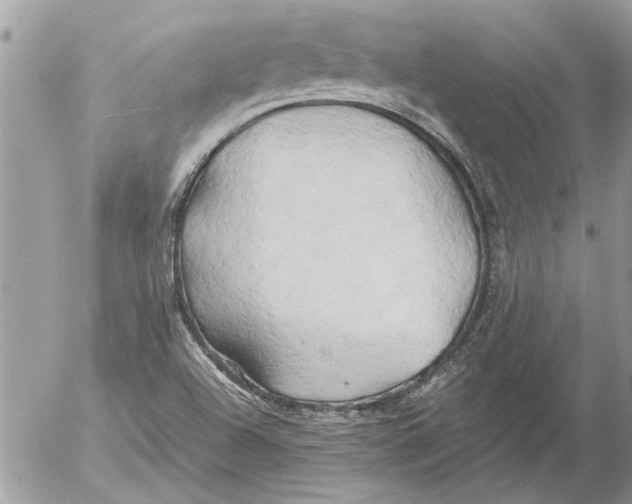 X0000054451504200508270025