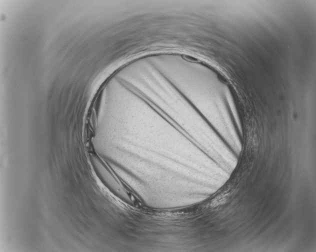 X0000054451527200508270026