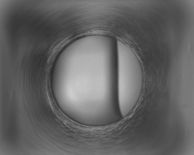 X0000054460001200507291033
