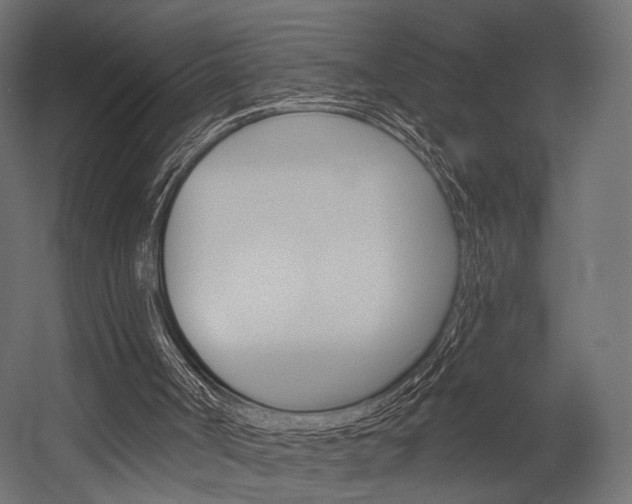 X0000054460002200507291033