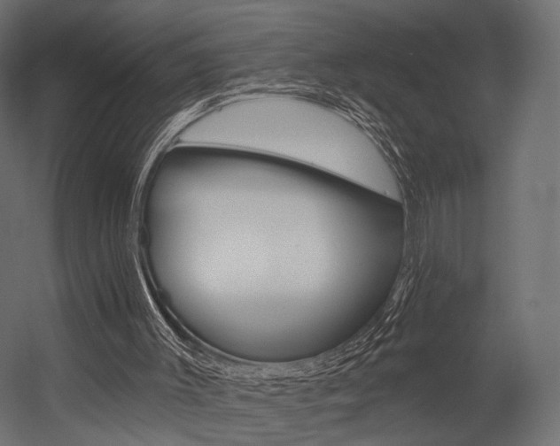 X0000054460003200507291033