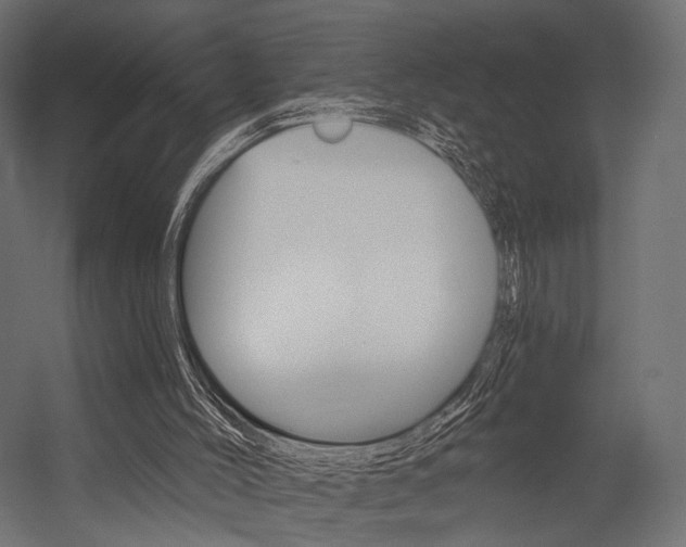X0000054460004200507291033