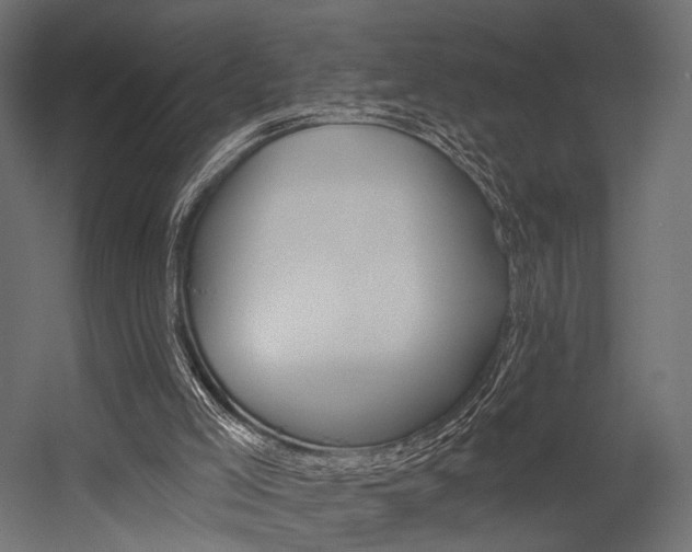X0000054460005200507291033