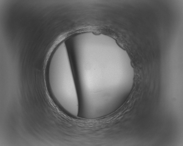 X0000054460006200507291033