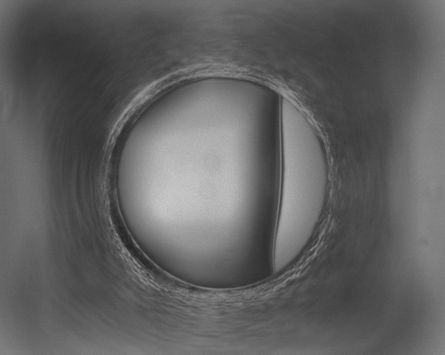 X0000054460007200507291033