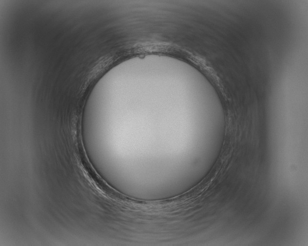 X0000054460010200507291033