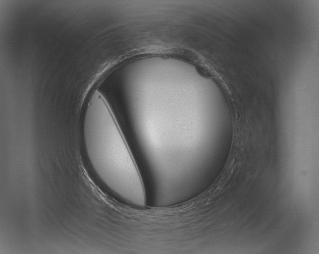 X0000054460011200507291033