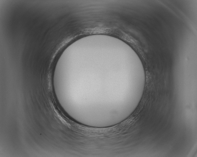 X0000054460012200507291033
