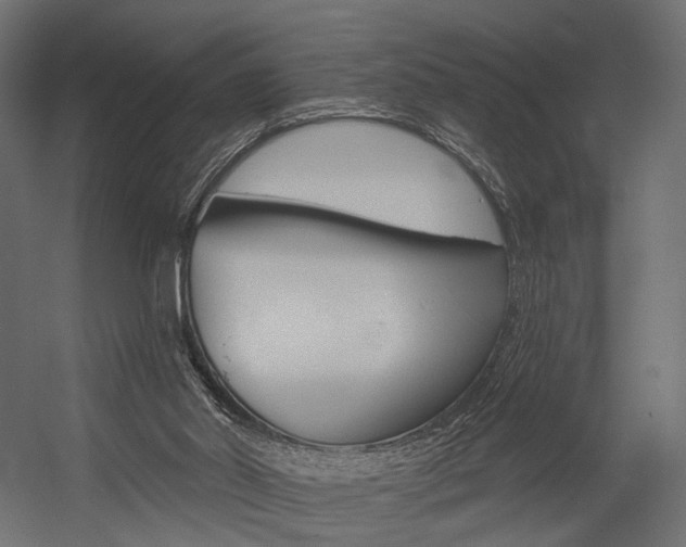 X0000054460014200507291033