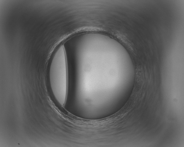 X0000054460015200507291033