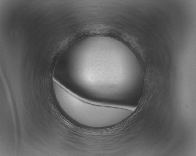 X0000054460017200507291033