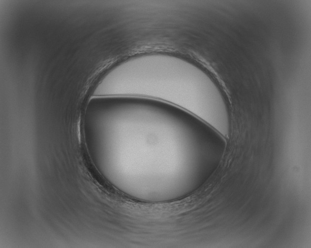 X0000054460019200507291033