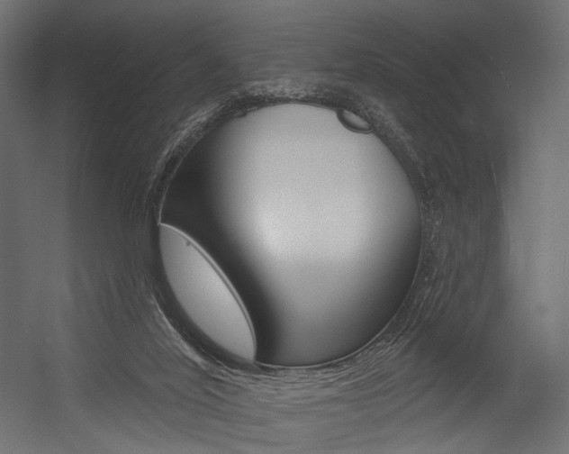 X0000054460020200507291033