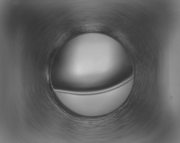X0000054460021200507291033