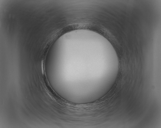 X0000054460022200507291033