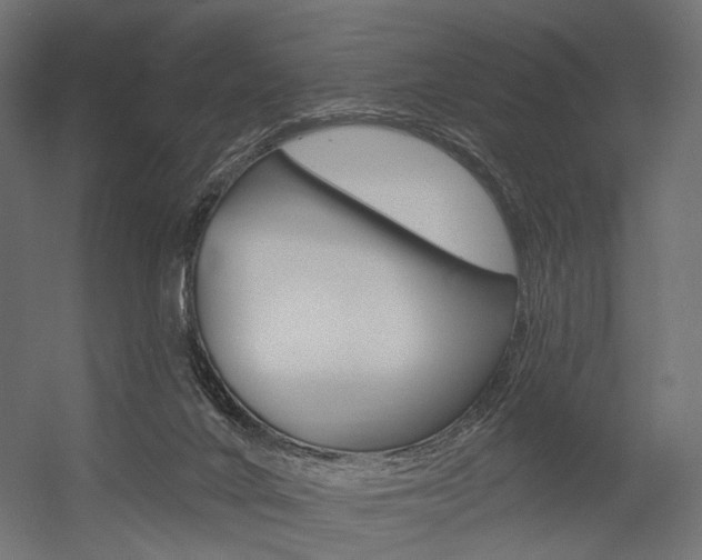 X0000054460024200507291033
