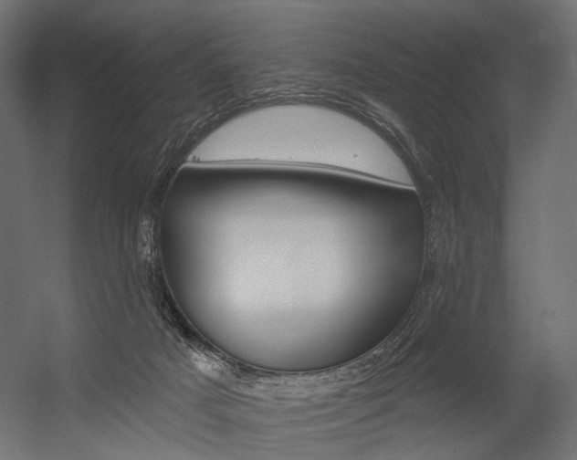 X0000054460025200507291033