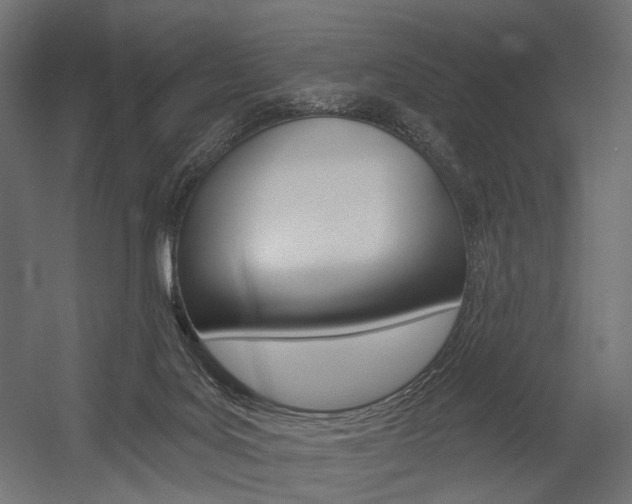 X0000054460027200507291033