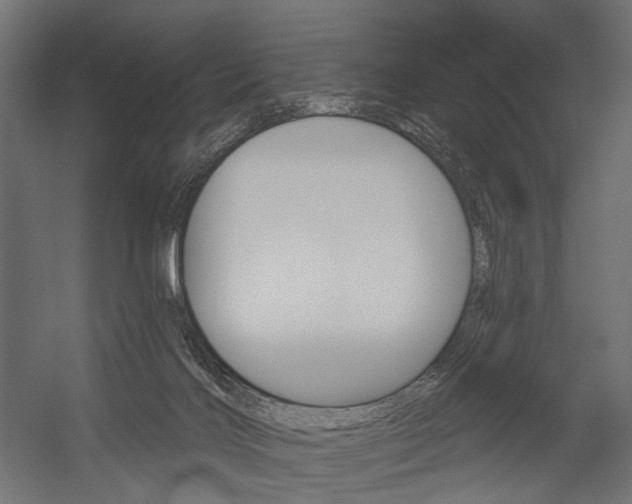 X0000054460028200507291033