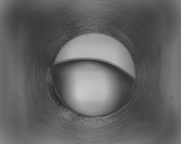 X0000054460029200507291033