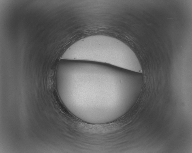 X0000054460030200507291033