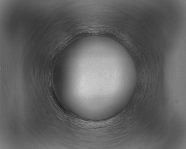 X0000054460031200507291033