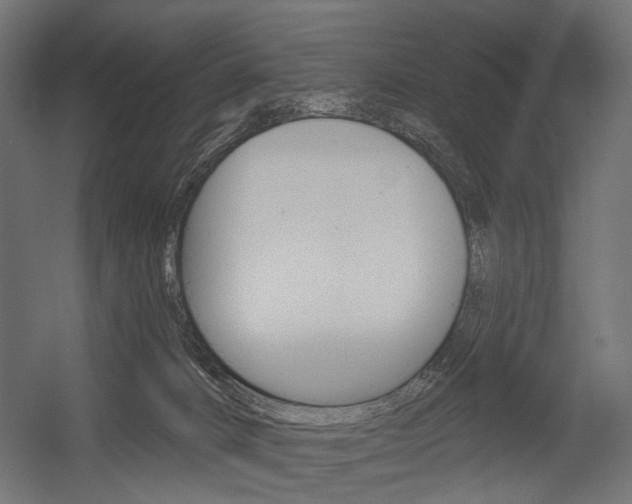 X0000054460032200507291033