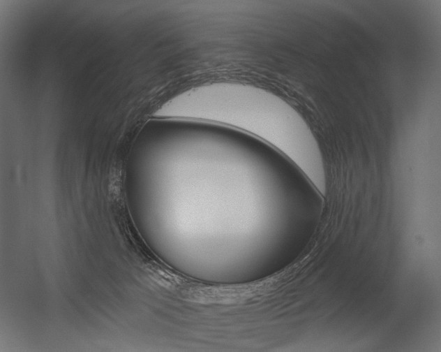 X0000054460033200507291033