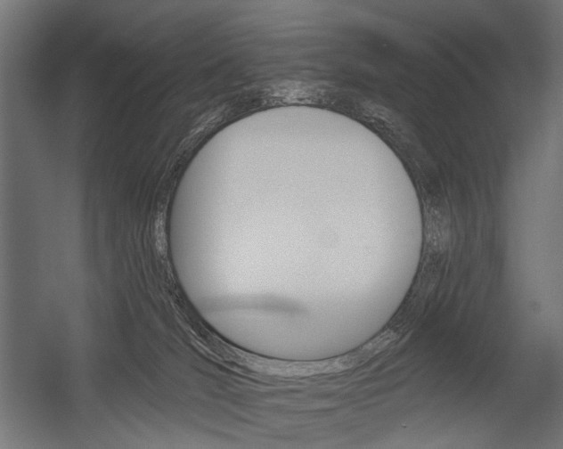 X0000054460036200507291033