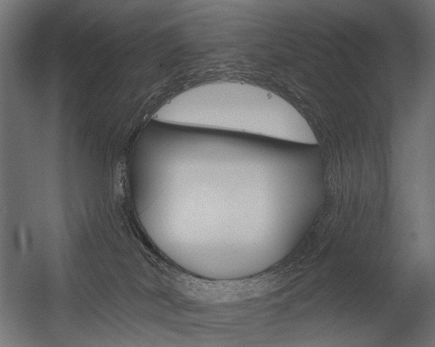 X0000054460038200507291033