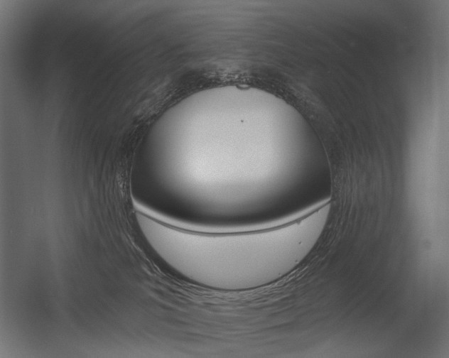 X0000054460039200507291033