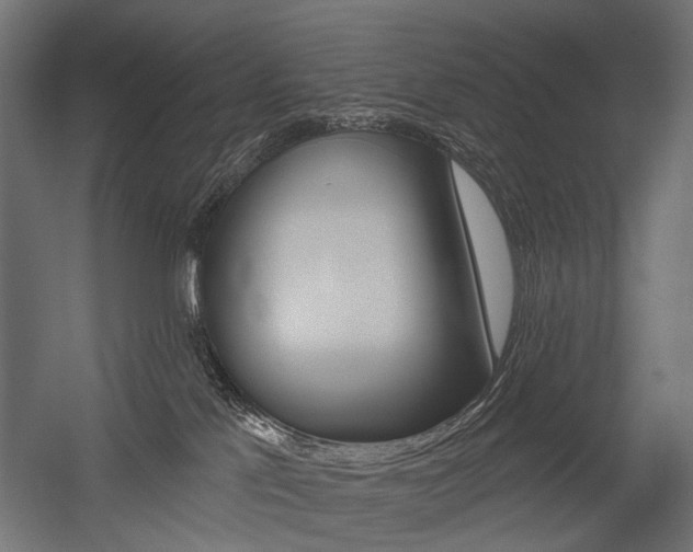 X0000054460041200507291033